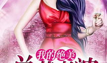 我的绝色总裁夫人,绝色总裁夫人的豪门宠爱之路