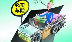 新车购买保险,全面解析必备险种与合理预算