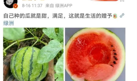 娱乐新鲜事吃瓜,揭秘明星幕后故事