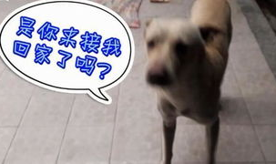 每天看娱乐吃瓜的说说,跟随热点,畅享娱乐圈风云变幻