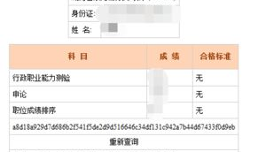江苏省公务员考试网成绩查询,全面解析查询流程及注意事项”