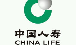 人寿车险,保障、服务与口碑一览”