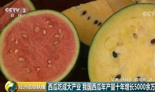 吃瓜吃大瓜网,带你领略网络吃瓜文化的魅力